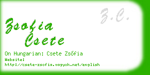 zsofia csete business card