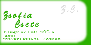 zsofia csete business card